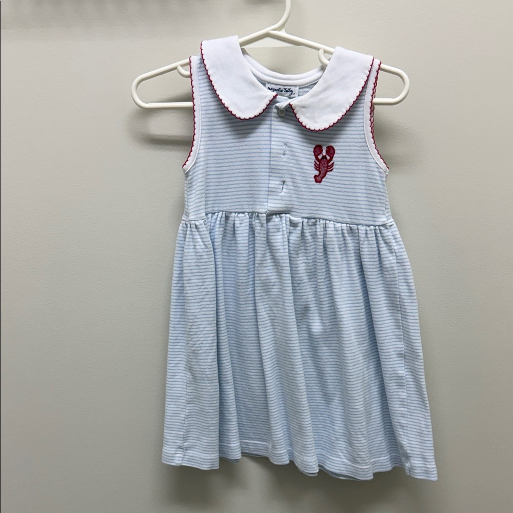 Charming Blue Striped Kids Dress with Red Embroidery